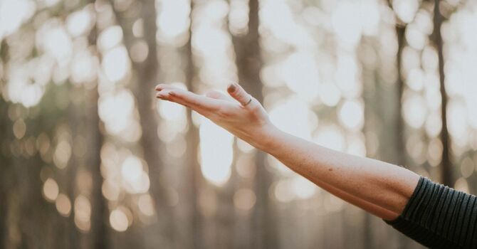 Gut Health After a Car Accident: The Surprising Link Between Digestion and Recovery Speed